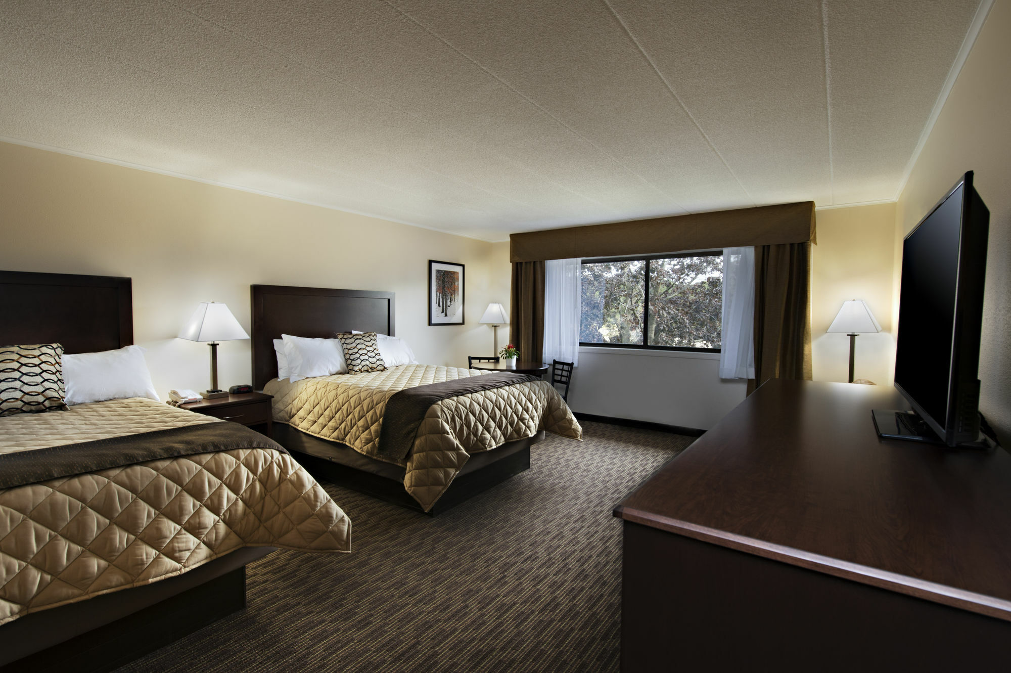 Chestnut Mountain Resort Galena Dış mekan fotoğraf
