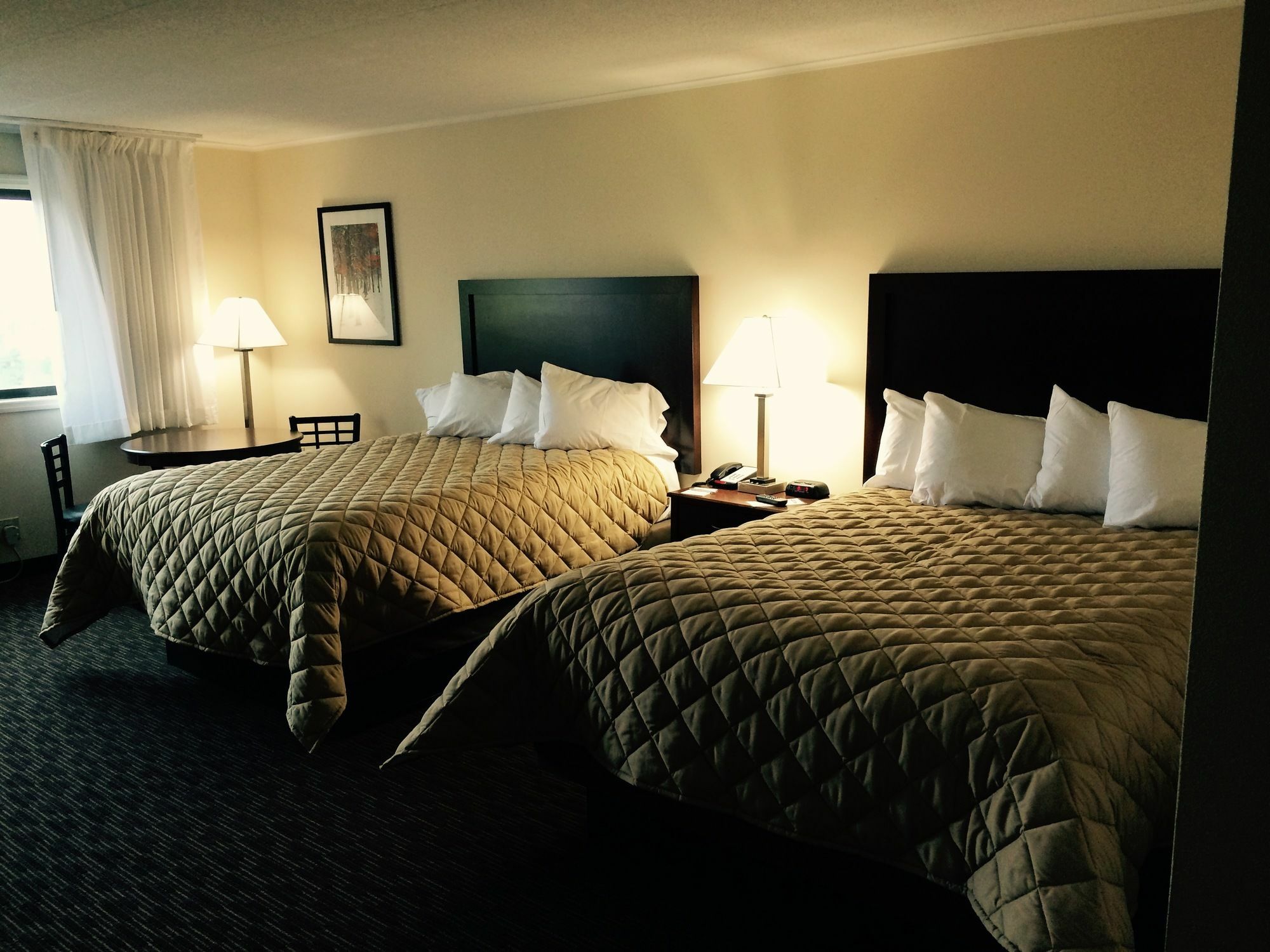 Chestnut Mountain Resort Galena Dış mekan fotoğraf